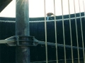 isp_2-300x400